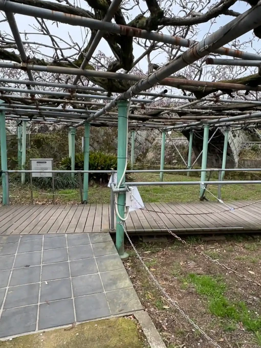 藤棚照明コンセント増設工事｜神社