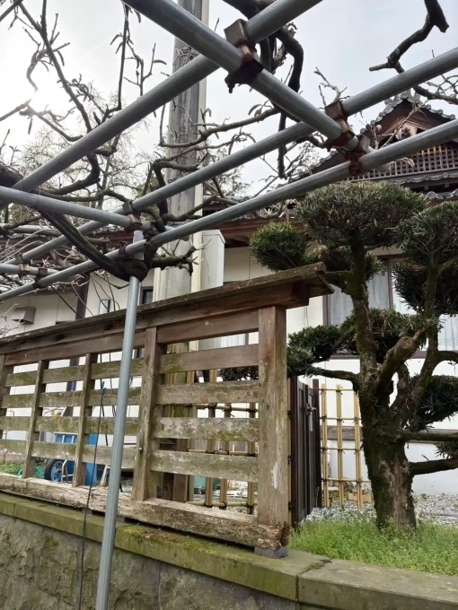 藤棚照明コンセント増設工事｜神社